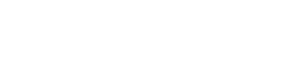 OurVoices Premium Survey
